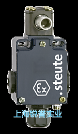 Ex 355 V10S 2? - 10 mm 防爆铰链防护门安全开关